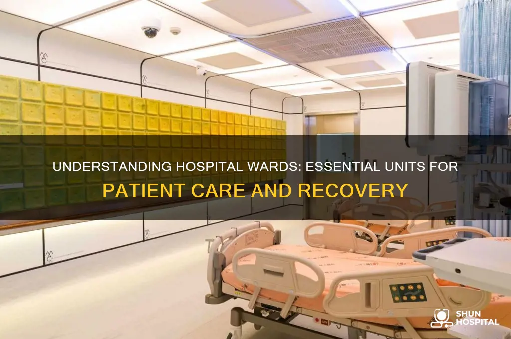 what are hospital wards