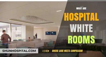 Understanding Hospital White Rooms: Purpose, Design, and Patient Benefits