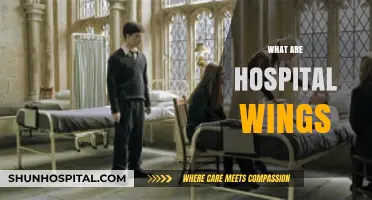 Understanding Hospital Wings: Functions, Design, and Importance in Healthcare
