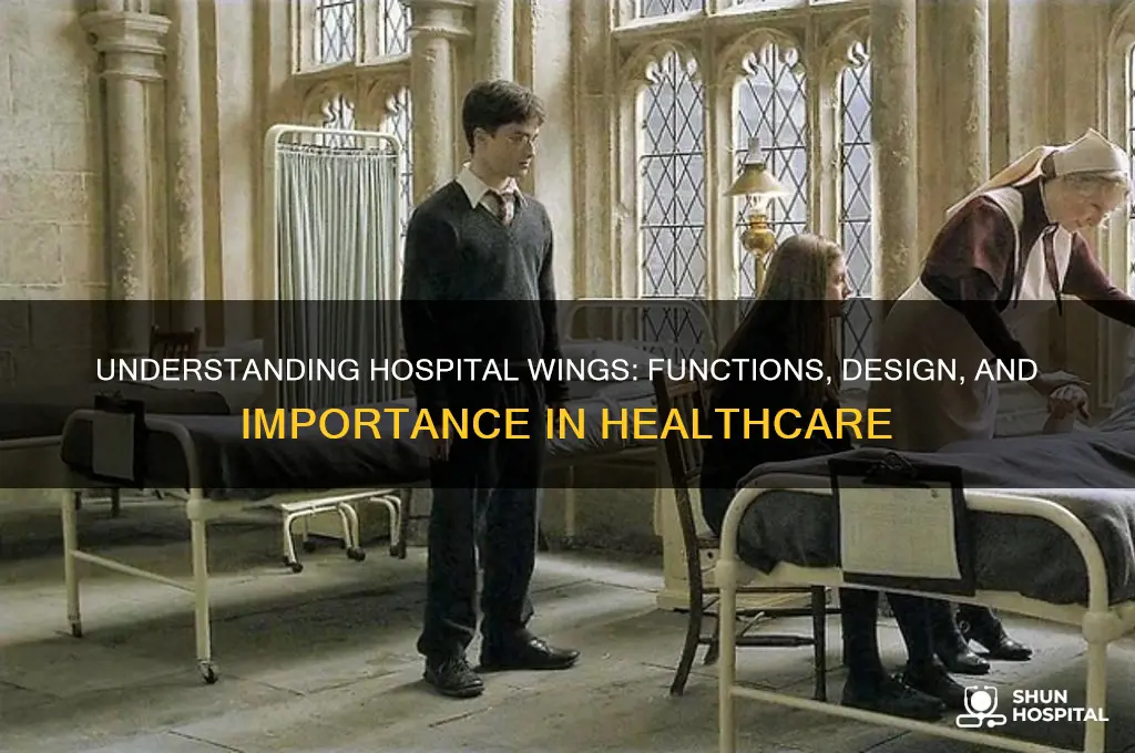 what are hospital wings