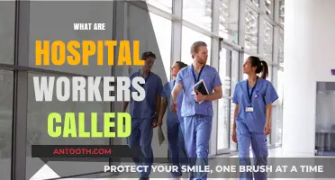 Understanding Hospital Staff Roles: What Are Hospital Workers Called?