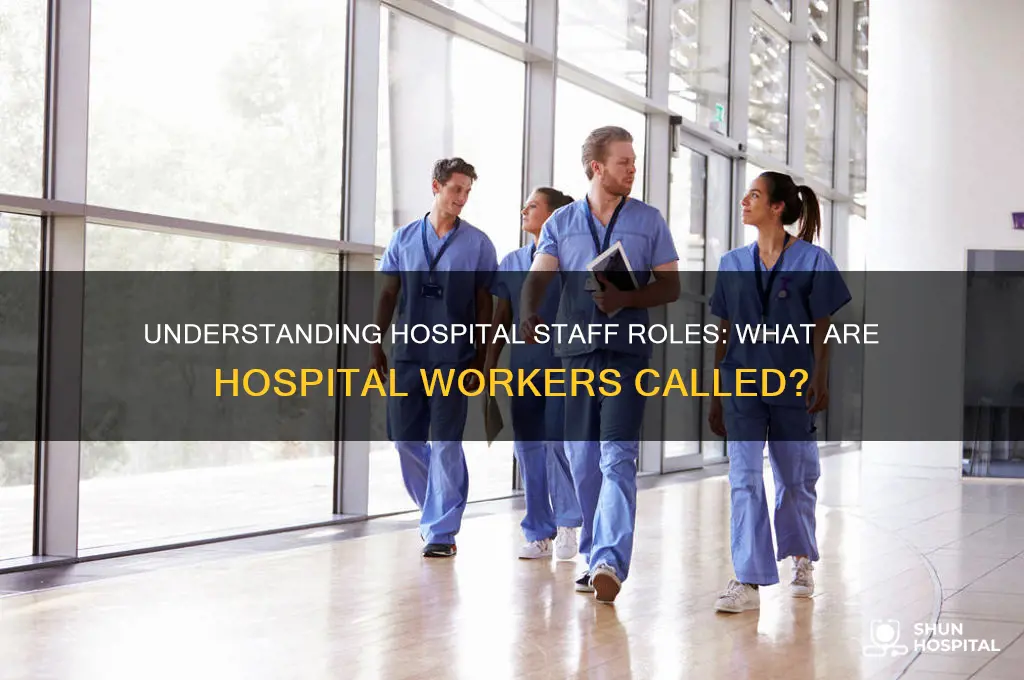 what are hospital workers called