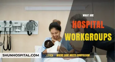 Understanding Hospital Workgroups: Collaborative Teams Enhancing Patient Care and Operations