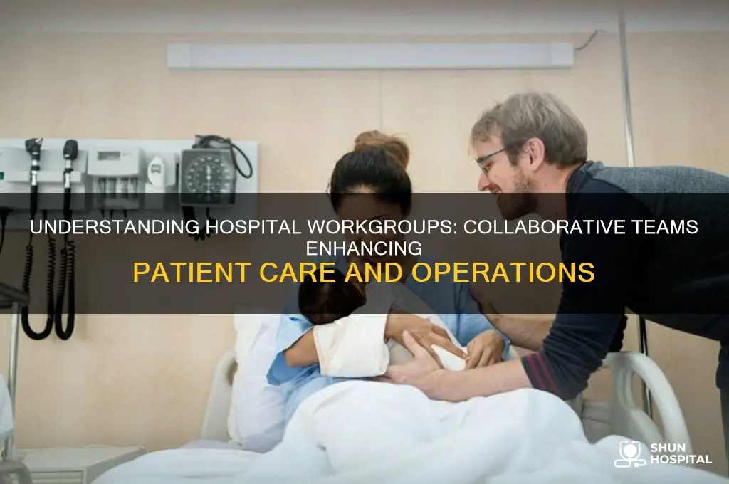 what are hospital workgroups
