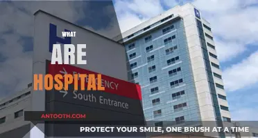 Understanding Hospitals: Essential Healthcare Facilities and Their Vital Role