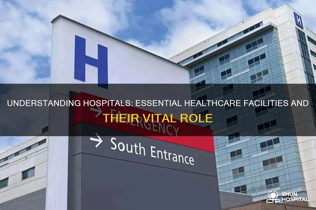 what are hospital