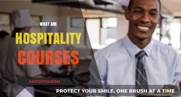 Exploring Hospitality Courses: Your Gateway to a Rewarding Career