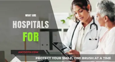 Understanding Hospitals: Their Purpose, Functions, and Role in Healthcare
