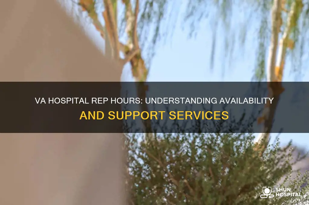 what are hours for va rep at va hospital