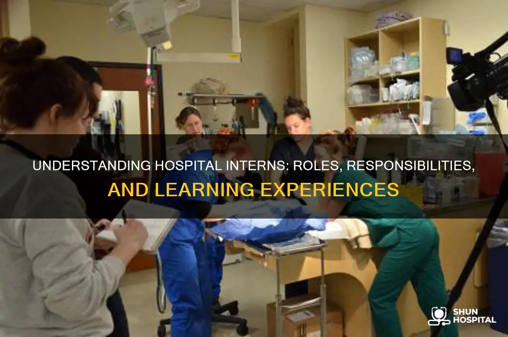 what are interns in hospitals
