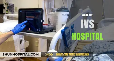 Understanding IVs Hospital: Comprehensive Care and Treatment Explained