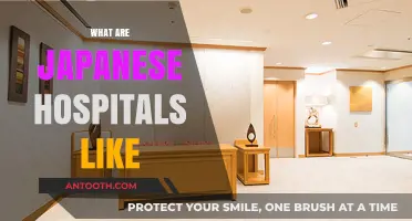 Exploring Japan's Healthcare: Inside the Unique World of Japanese Hospitals