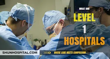 Understanding Level 1 Hospitals: Essential Services and Capabilities Explained