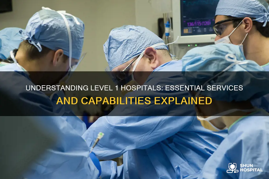 what are level 1 hospitals