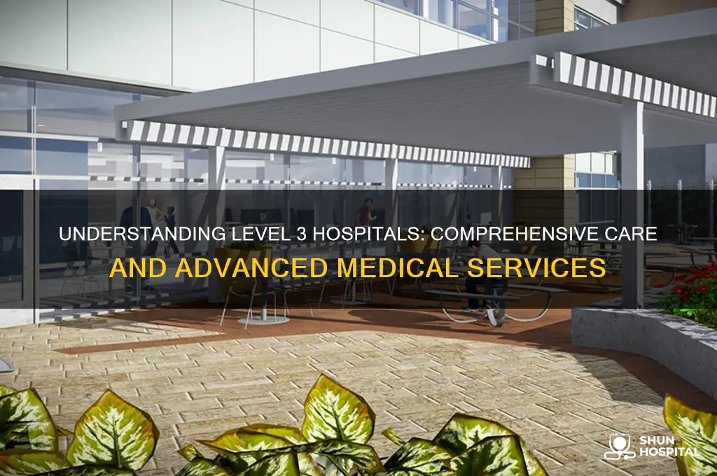 what are level 3 hospitals