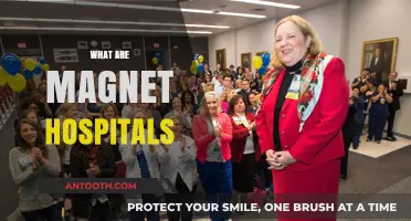 Understanding Magnet Hospitals: Excellence in Nursing and Patient Care