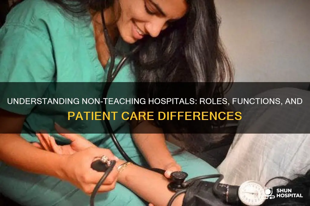 what are non teaching hospitals