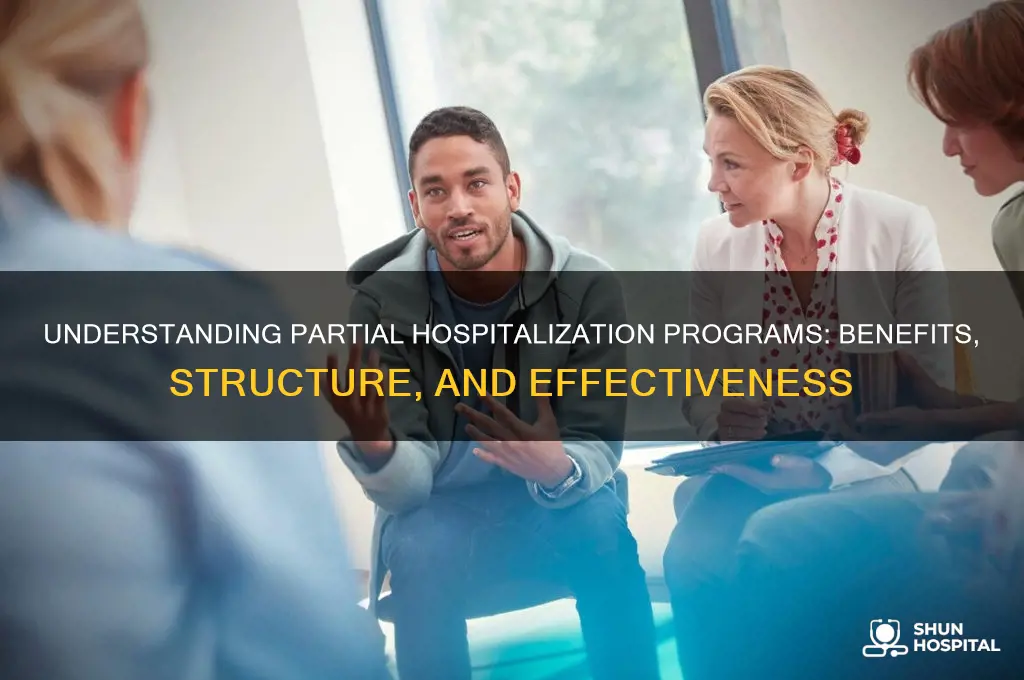 what are partial hospitalization programs