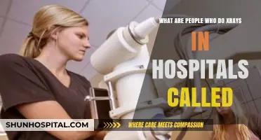 Who Performs X-Rays in Hospitals? Meet the Radiologic Technologists