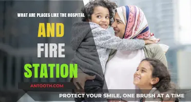 Exploring Essential Community Hubs: Hospitals, Fire Stations, and Their Roles