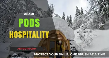 Exploring Pods Hospitality: Innovative, Compact, and Sustainable Accommodation Solutions