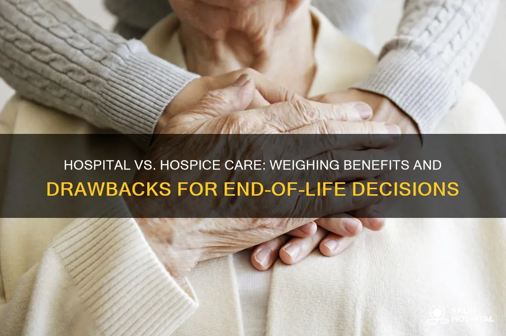 what are pros and cons of hospital and hospice services