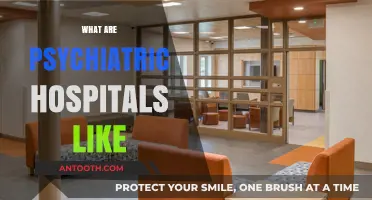 Inside Psychiatric Hospitals: Realities, Care, and Patient Experiences Explored