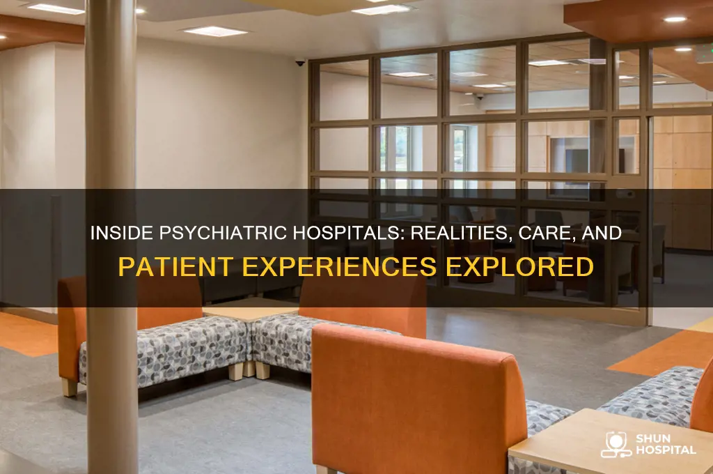 what are psychiatric hospitals like