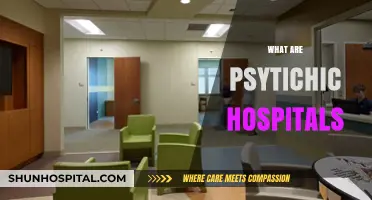 Understanding Psychic Hospitals: Purpose, Practices, and Patient Experiences