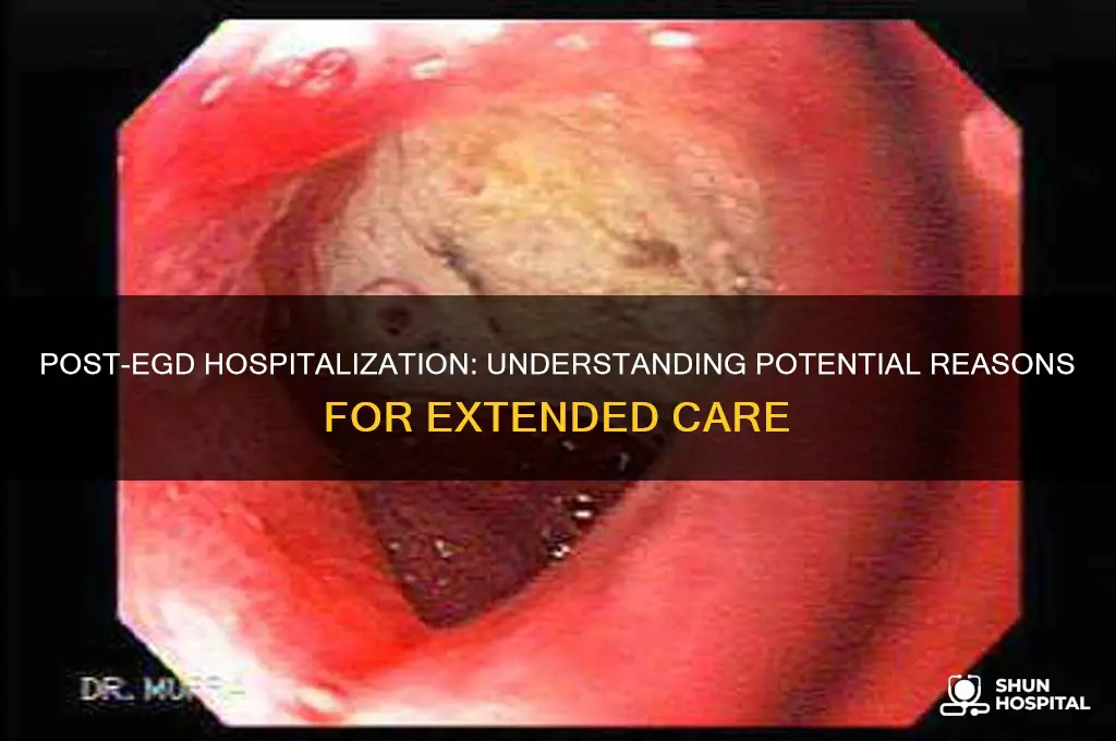 what are reasons you may be hospitalized after esophagogastroduodenoscopy