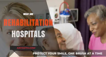 Understanding Rehabilitation Hospitals: Comprehensive Care for Recovery and Wellness