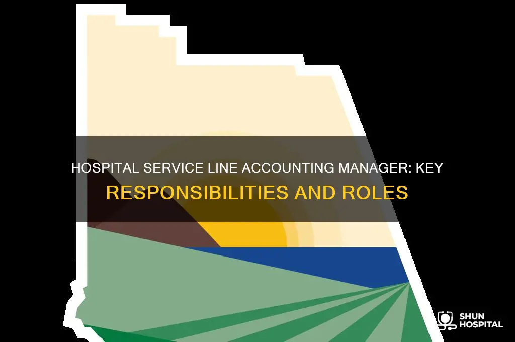 what are responsibilities of a hospital service line accounting manager