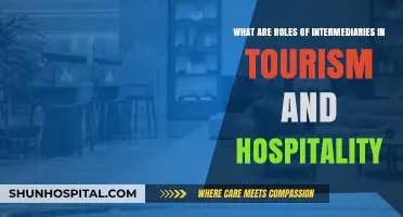 Intermediaries' Impact: Shaping Tourism and Hospitality Experiences and Connections
