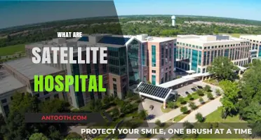 Understanding Satellite Hospitals: Decentralized Healthcare for Improved Patient Access