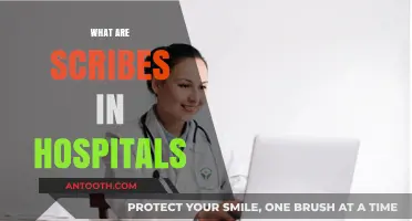 Understanding Hospital Scribes: Their Role and Impact on Healthcare Efficiency
