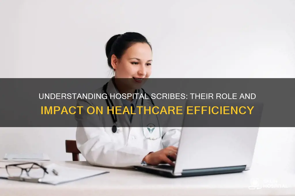 what are scribes in hospitals