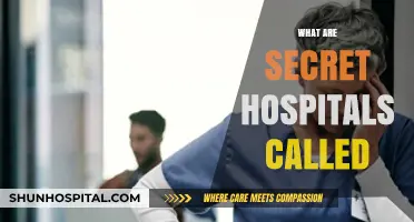 Unveiling Hidden Healthcare: Exploring the World of Secret Hospitals