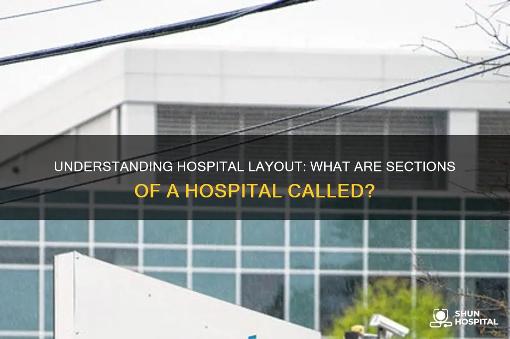 what are sections of a hospital referred to as