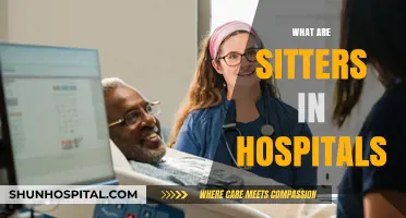 Understanding Hospital Sitters: Roles, Benefits, and Patient Care Support