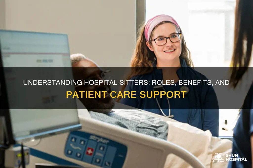 what are sitters in hospitals