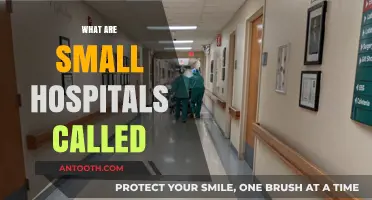 Understanding Small Hospitals: Names, Roles, and Community Impact Explained