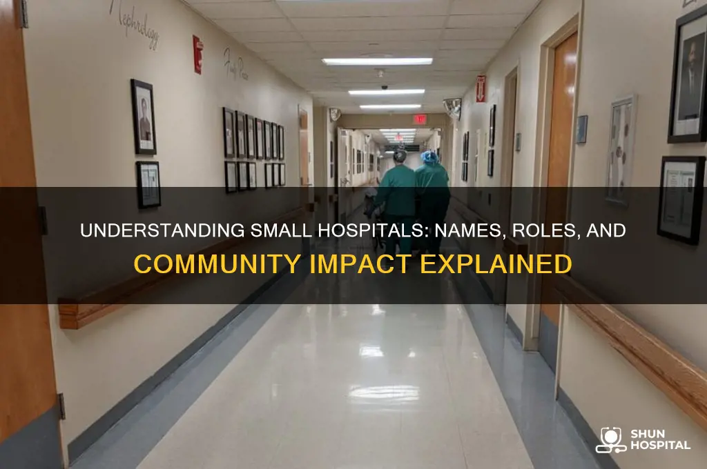 what are small hospitals called