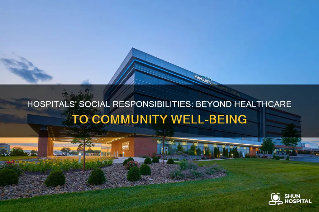 what are social responsibilities of hospitals of health service organizations