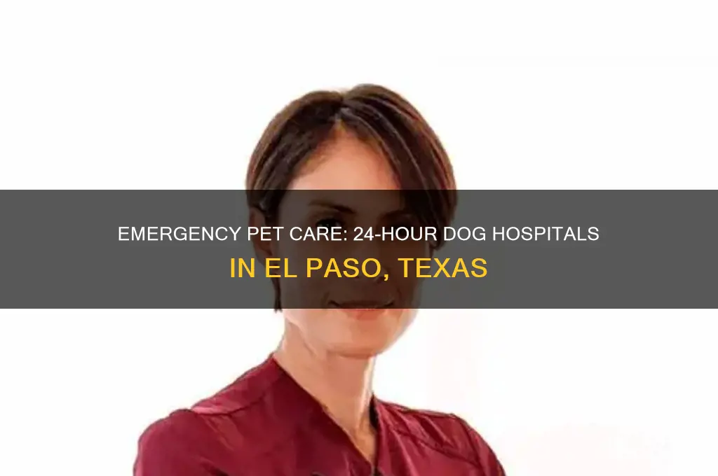 what are some 24-hour dog hospitals in el paso texas