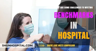 Overcoming Hospital Benchmark Challenges: Key Obstacles and Solutions