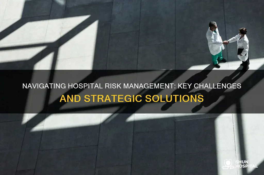 what are some challenges with hospital risk management plan