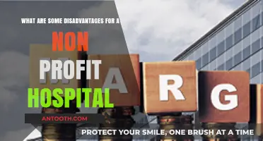 Non-Profit Hospitals: Hidden Challenges and Operational Disadvantages Explored