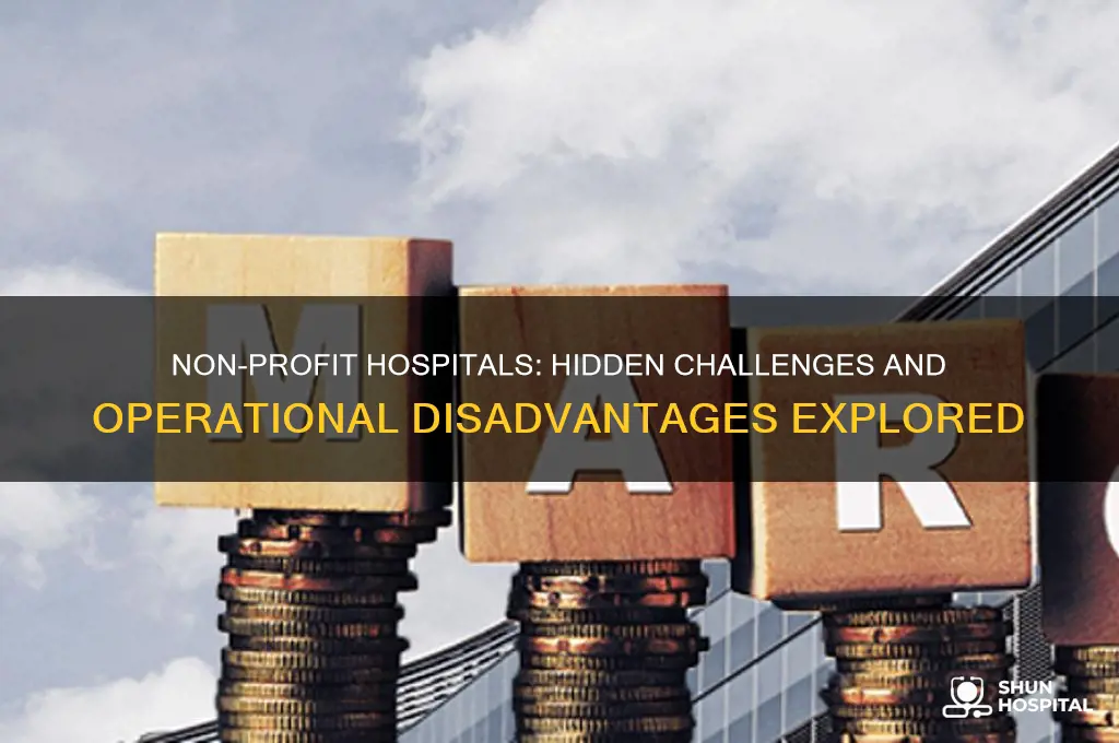 what are some disadvantages for a non profit hospital