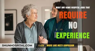 No Experience Needed: Entry-Level Hospital Jobs to Explore Now