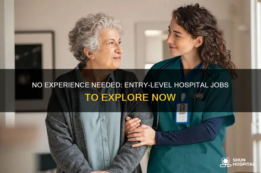 what are some hospital jobs that require no experience